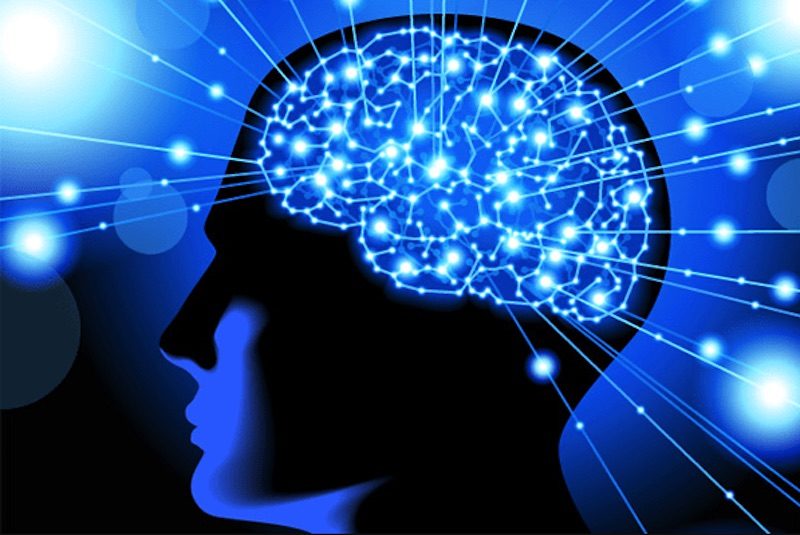 brain power