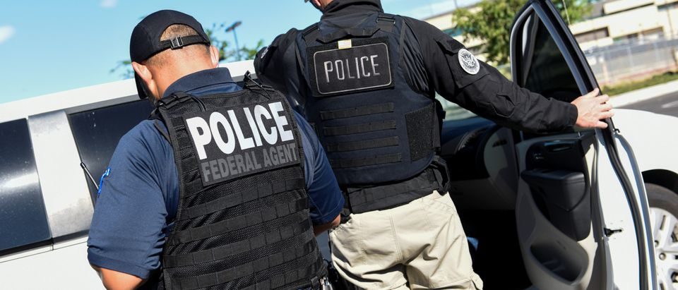 Click to enlarge Ice agents police illegal immigrants