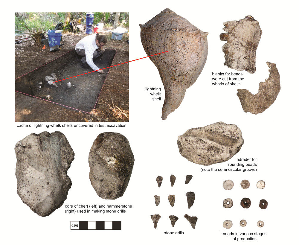 Click to enlarge Beads Fossil