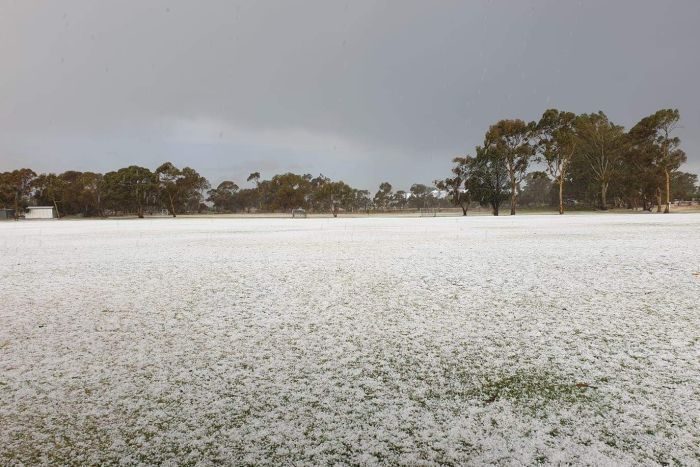 Hailstones blanket Bruce Hewett's property at Glossop, South Australia