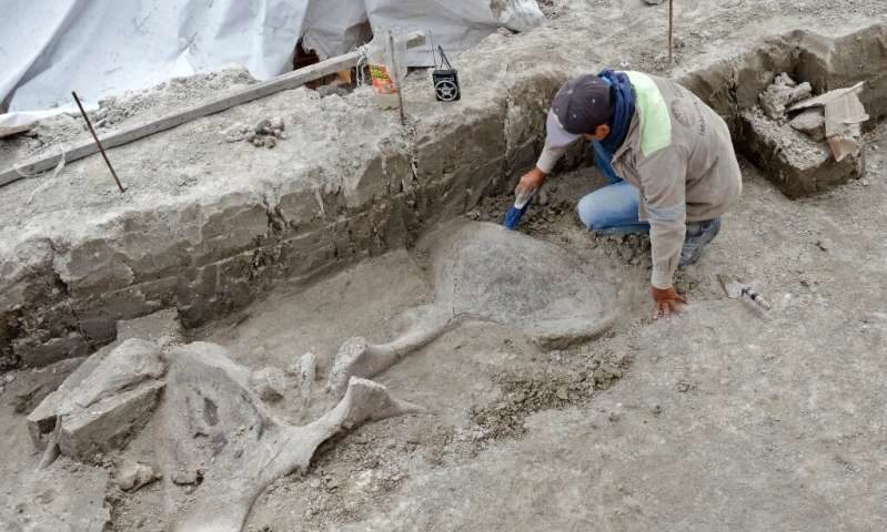 Click to enlarge mammoth