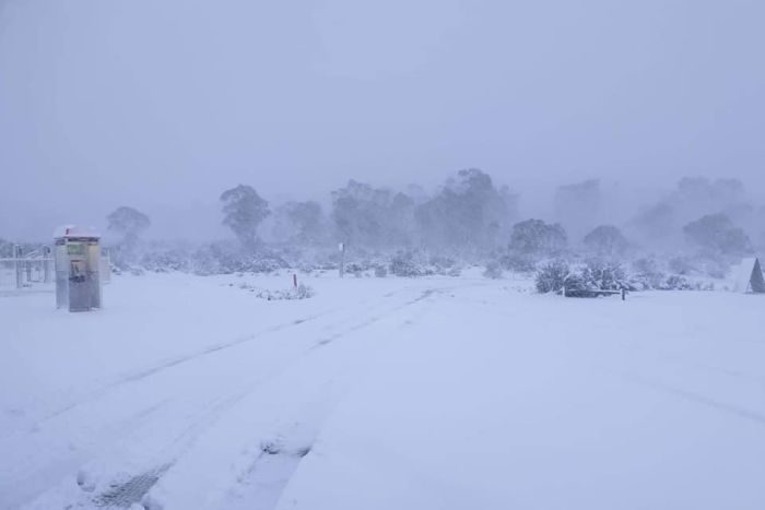 Click to enlarge snow