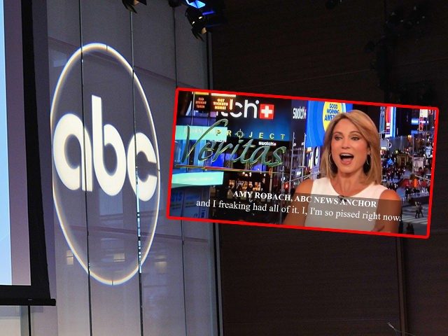 Click to enlarge amy robach espstein project veritas
