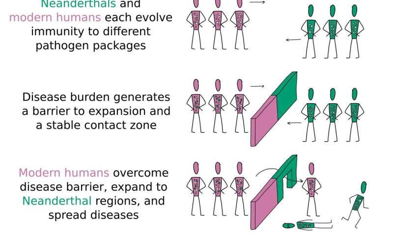 Neanderthals