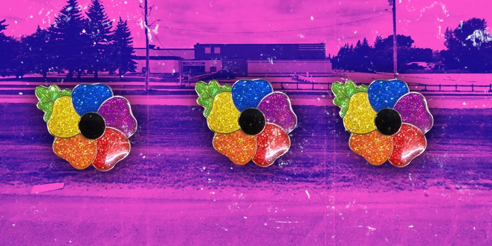rainbow poppy LGBT