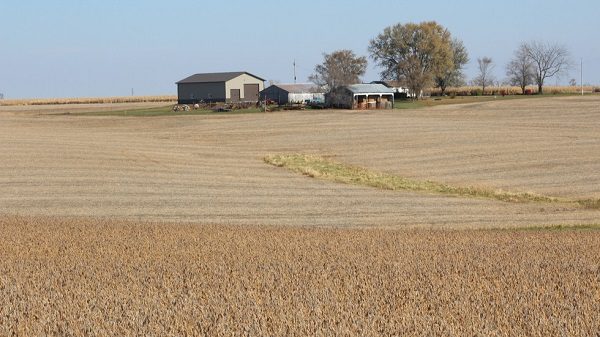 Farmland
