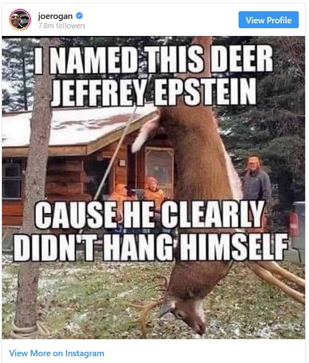 Epstein meme