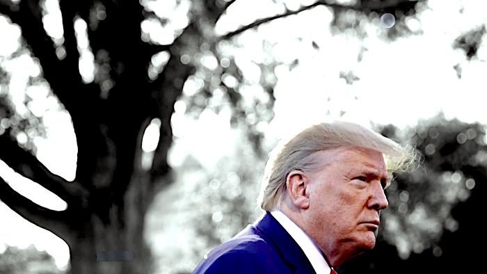 Click to enlarge Trump