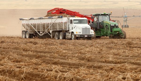 harvest
