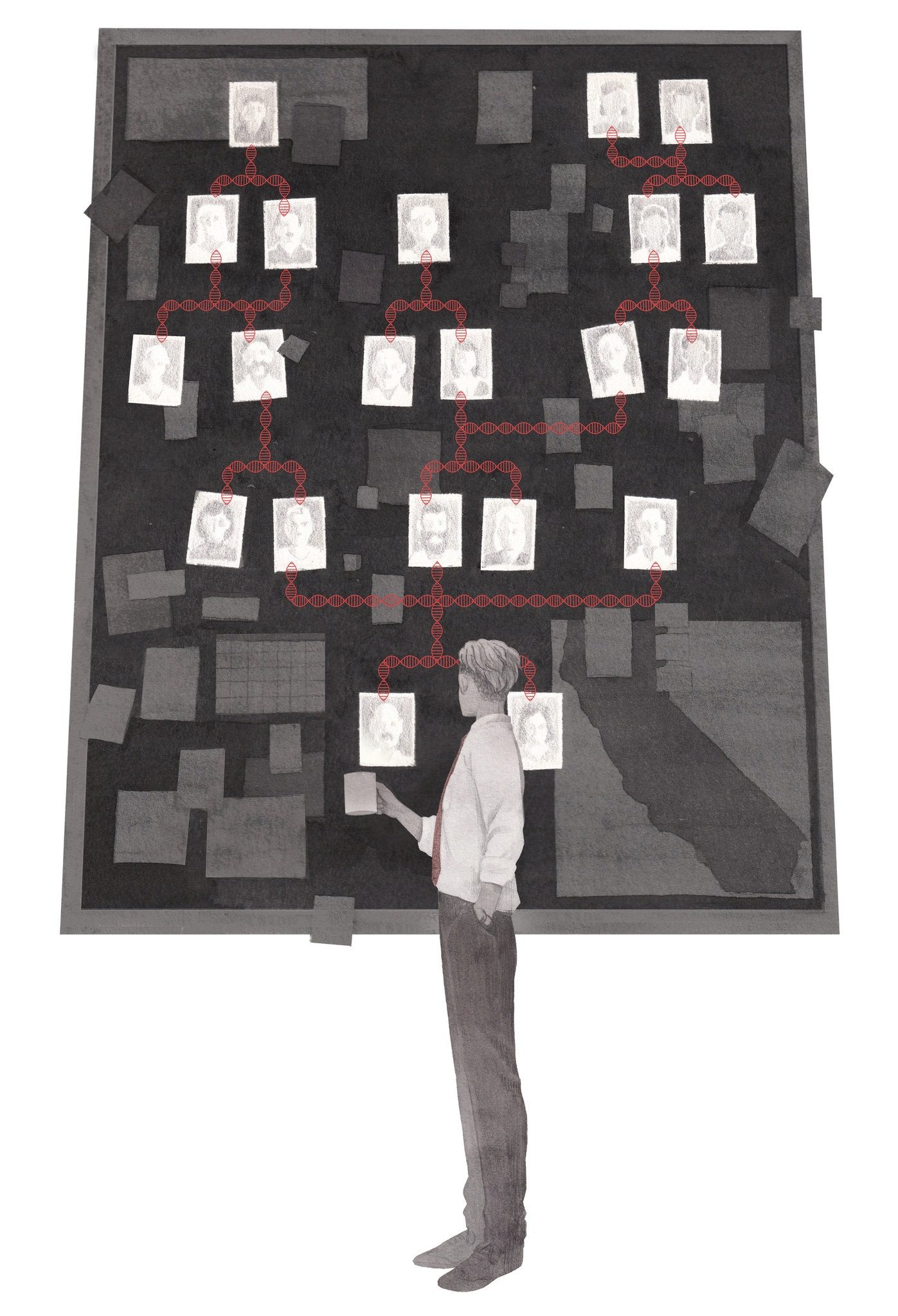 Click to enlarge dna detective investigation flow chart