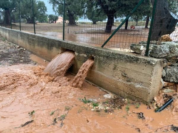 Flooded olive groves in Salento