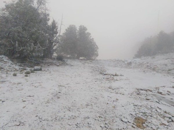 snow