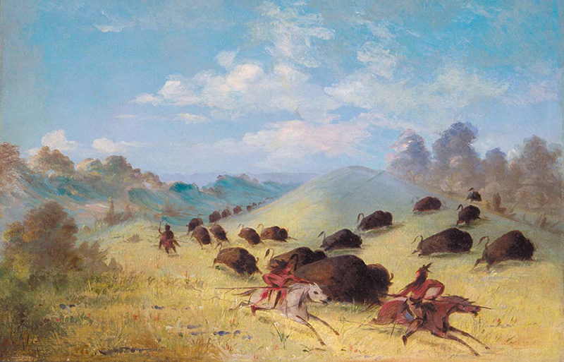 Click to enlarge Comanche