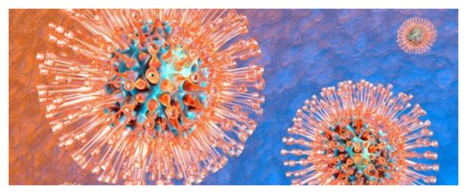 Herpes simplex virus