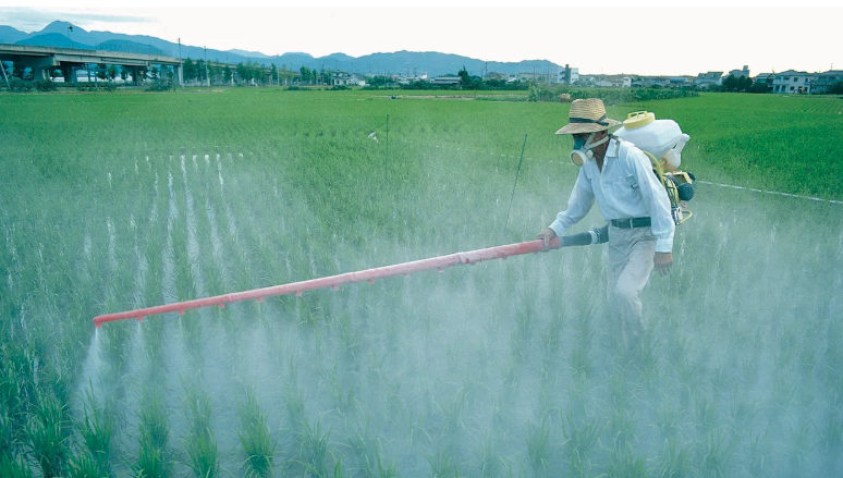 Click to enlarge pesticides