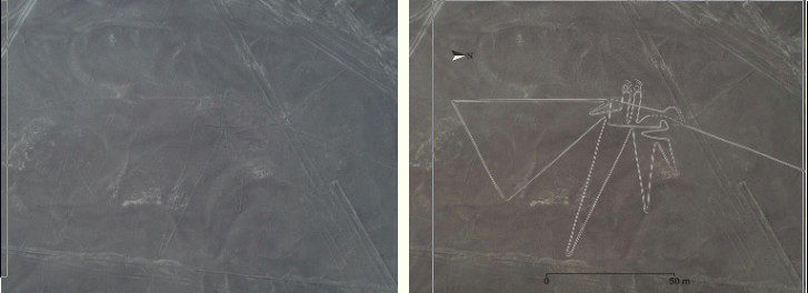 Click to enlarge New Nasca Birds