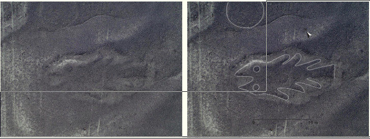 Click to enlarge Fish Nazca Glyph