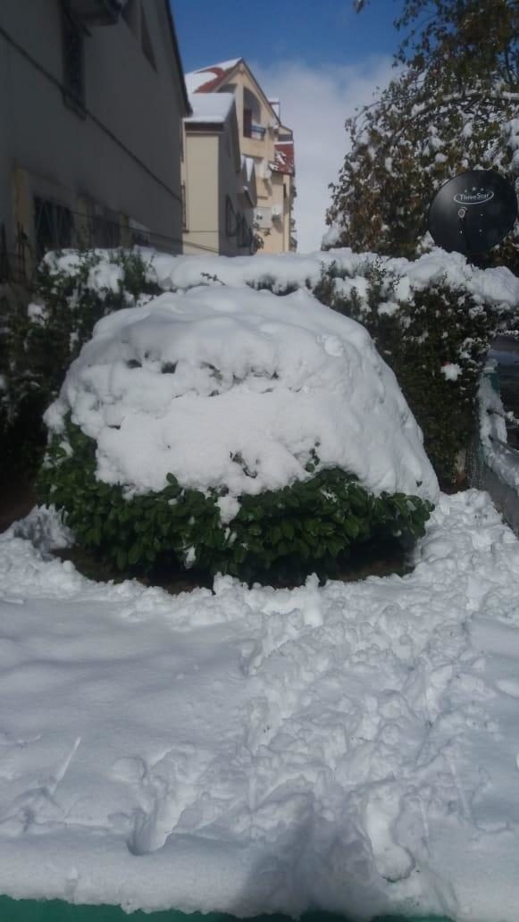 Fresh early snow in Ifrane, Morocco.