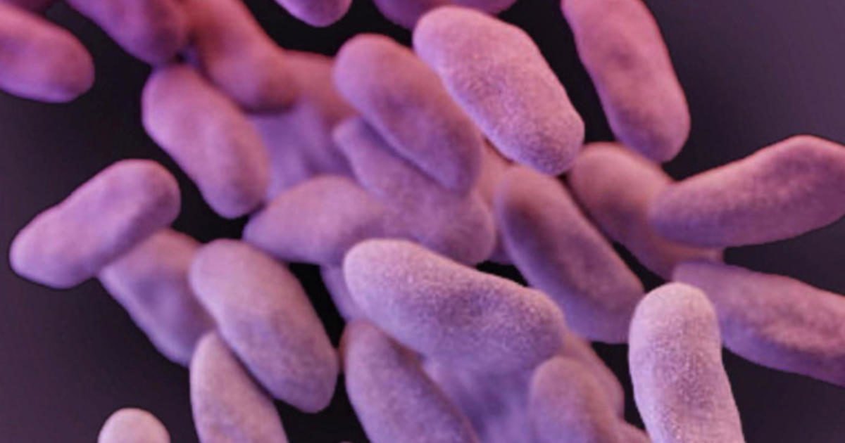 superbug microscope