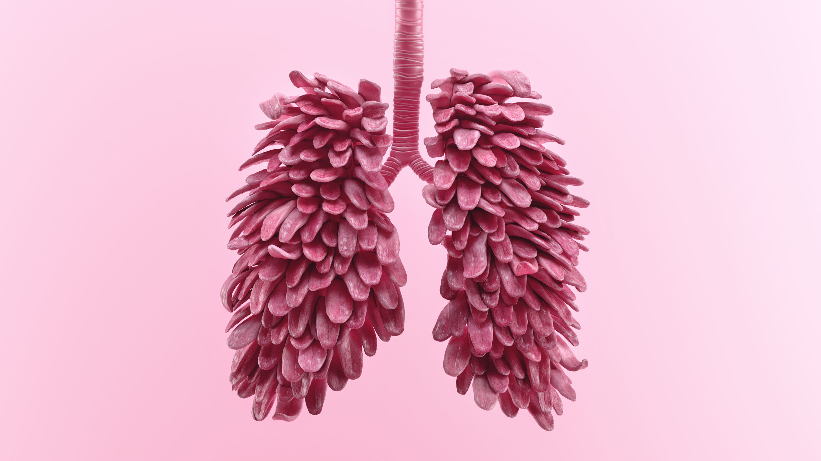 lungs with tongues