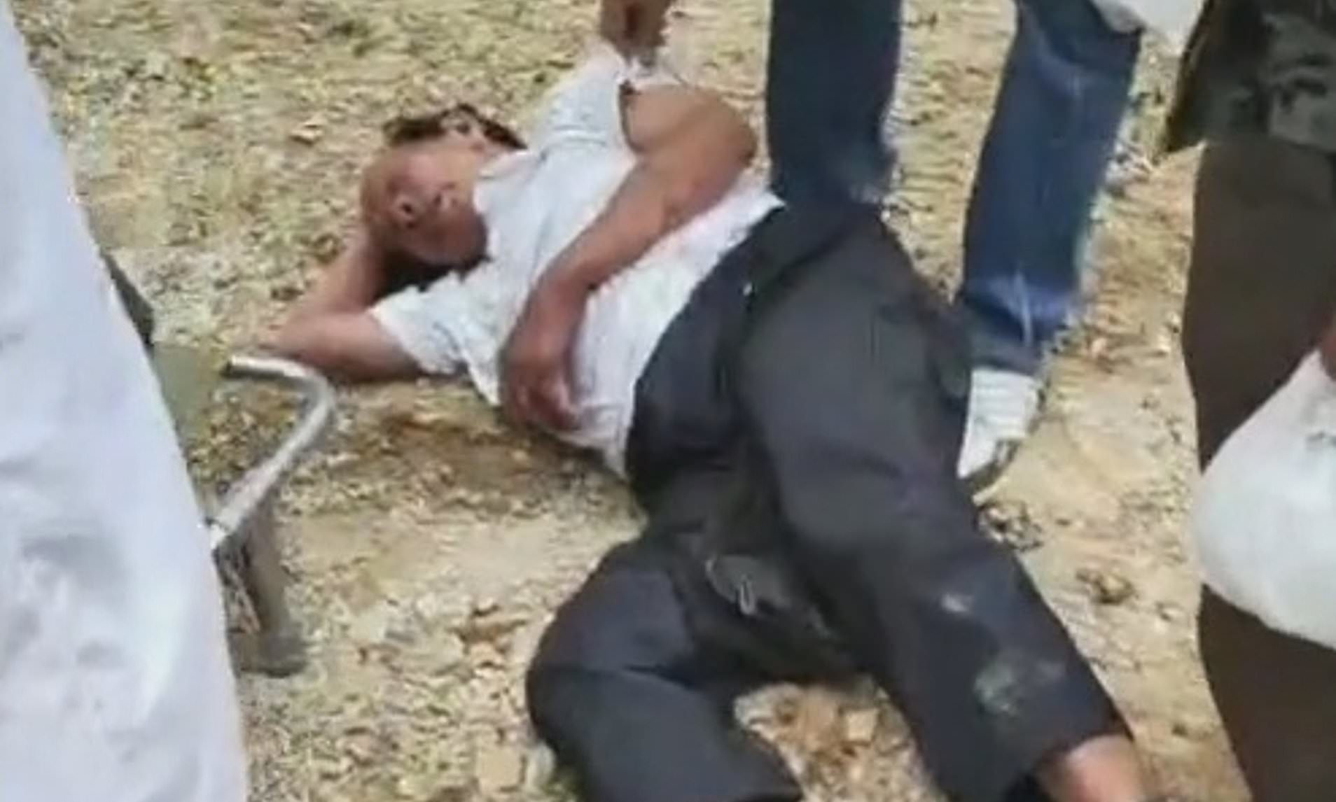 Three killed and five injured after wasps attack a family