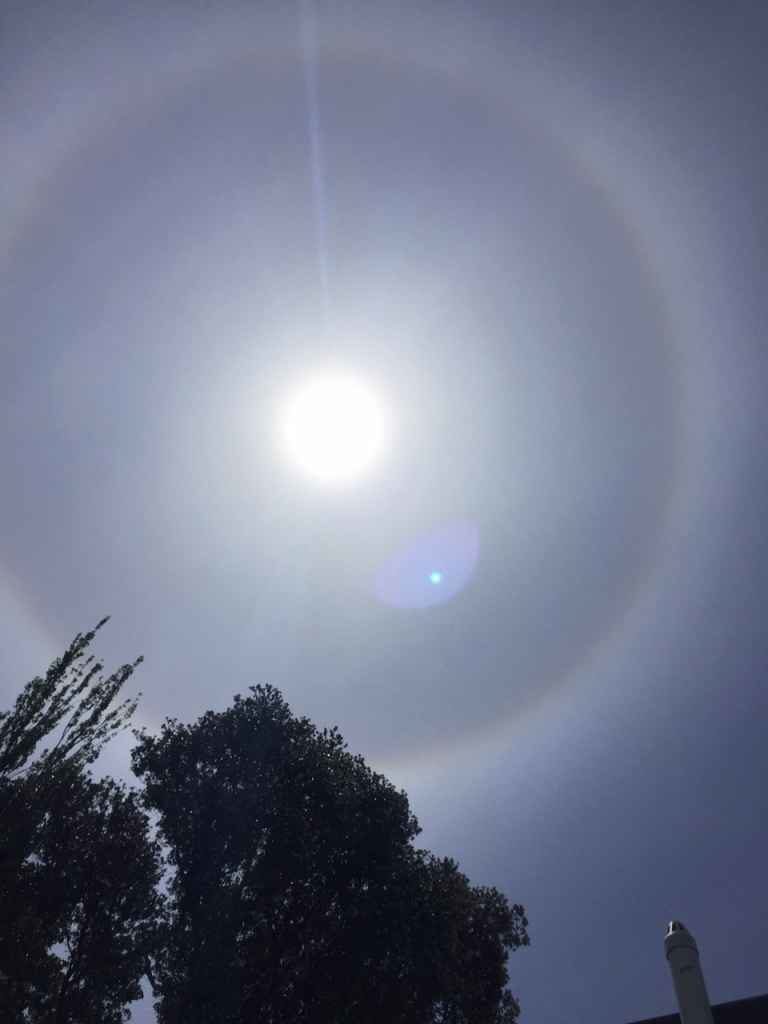 Sun halo over NZ