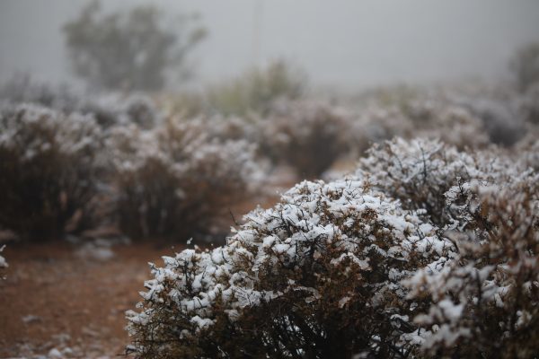 Click to enlarge snow