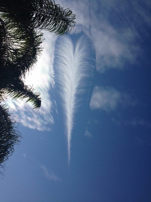 Click to enlarge Feathery cloud