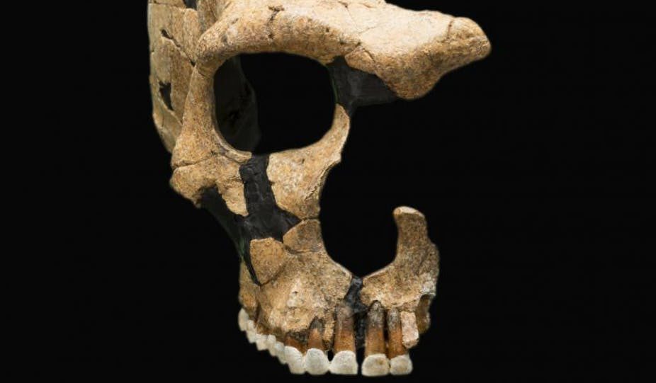 Neanderthal
