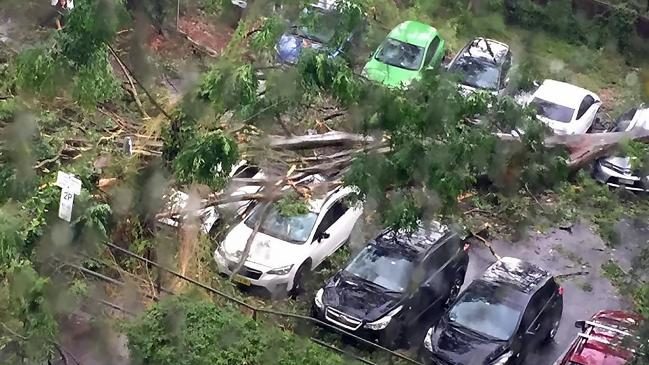 Click to enlarge The storm brought down trees onto powerlines and cars