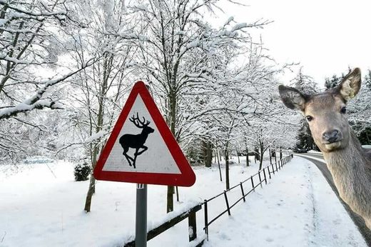 Click to enlarge Signs are important
