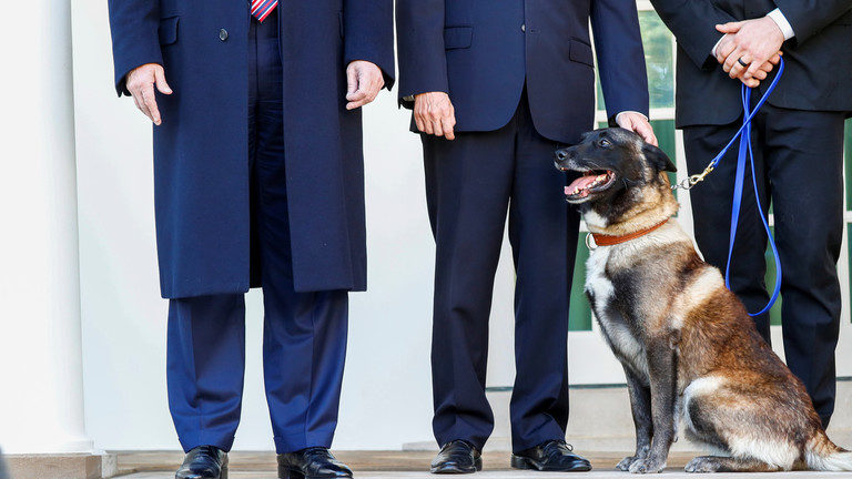 Click to enlarge conan the dog