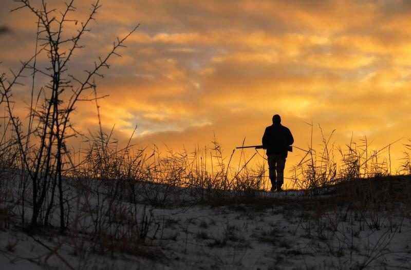 Two hikers and their dog were attacked by several bear hunting dogs last month.