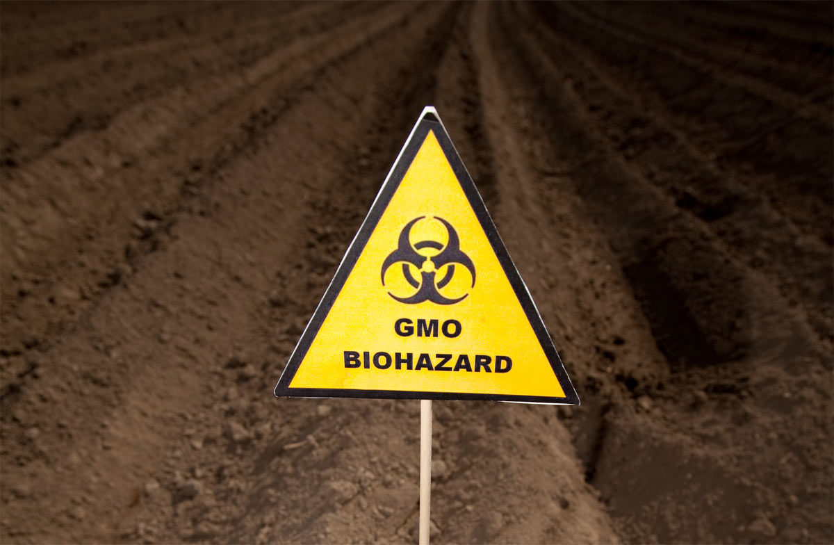 Click to enlarge GMO biohazard