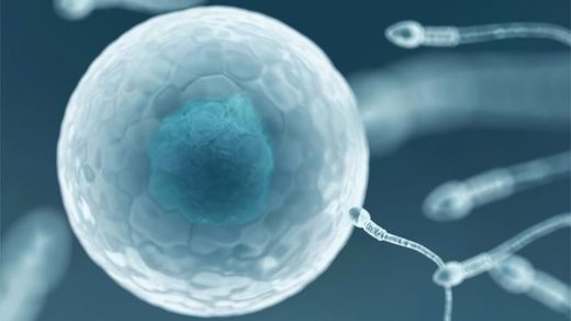 HIV-positive sperm bank opens in New Zealand