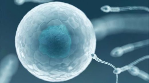 HIV-positive sperm bank opens in New Zealand HIV-positive sperm bank opens in New Zealand