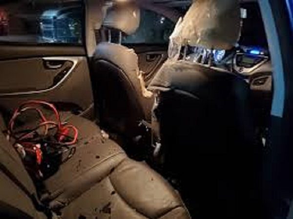 Bear tears apart car