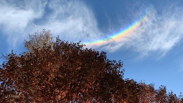 Circumzenithal arc over Raleigh, NC