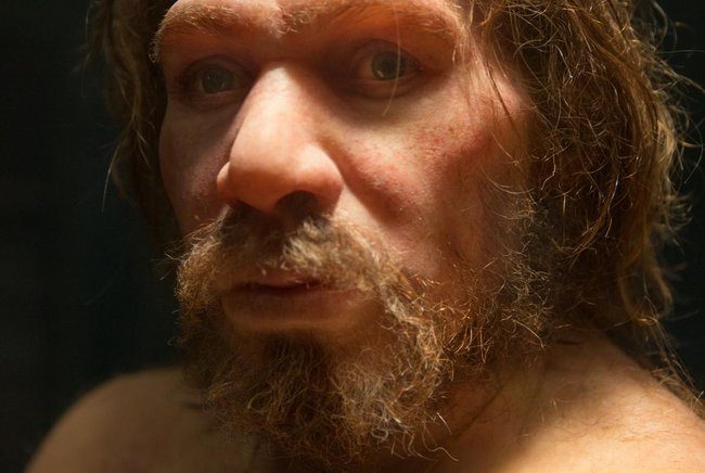 Neanderthals