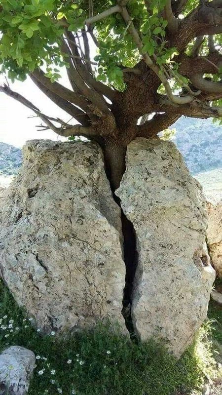 Click to enlarge Life power
