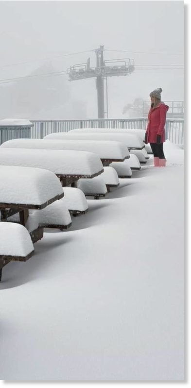 The tables at Hotham don’t lie!