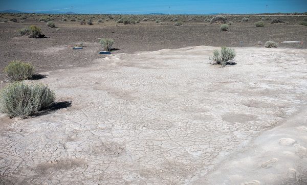 Click to enlarge Columbian mammoth trackways