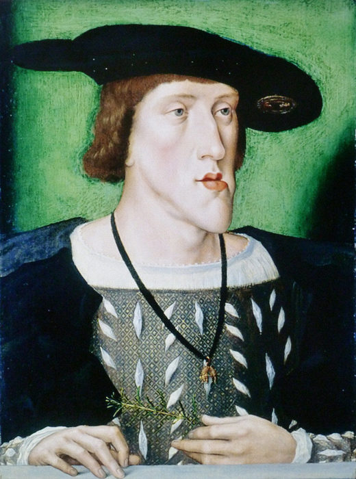 Click to enlarge Charles V