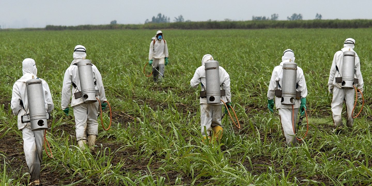 roundup herbicide spraying