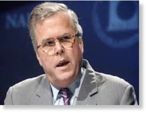 Jeb Bush