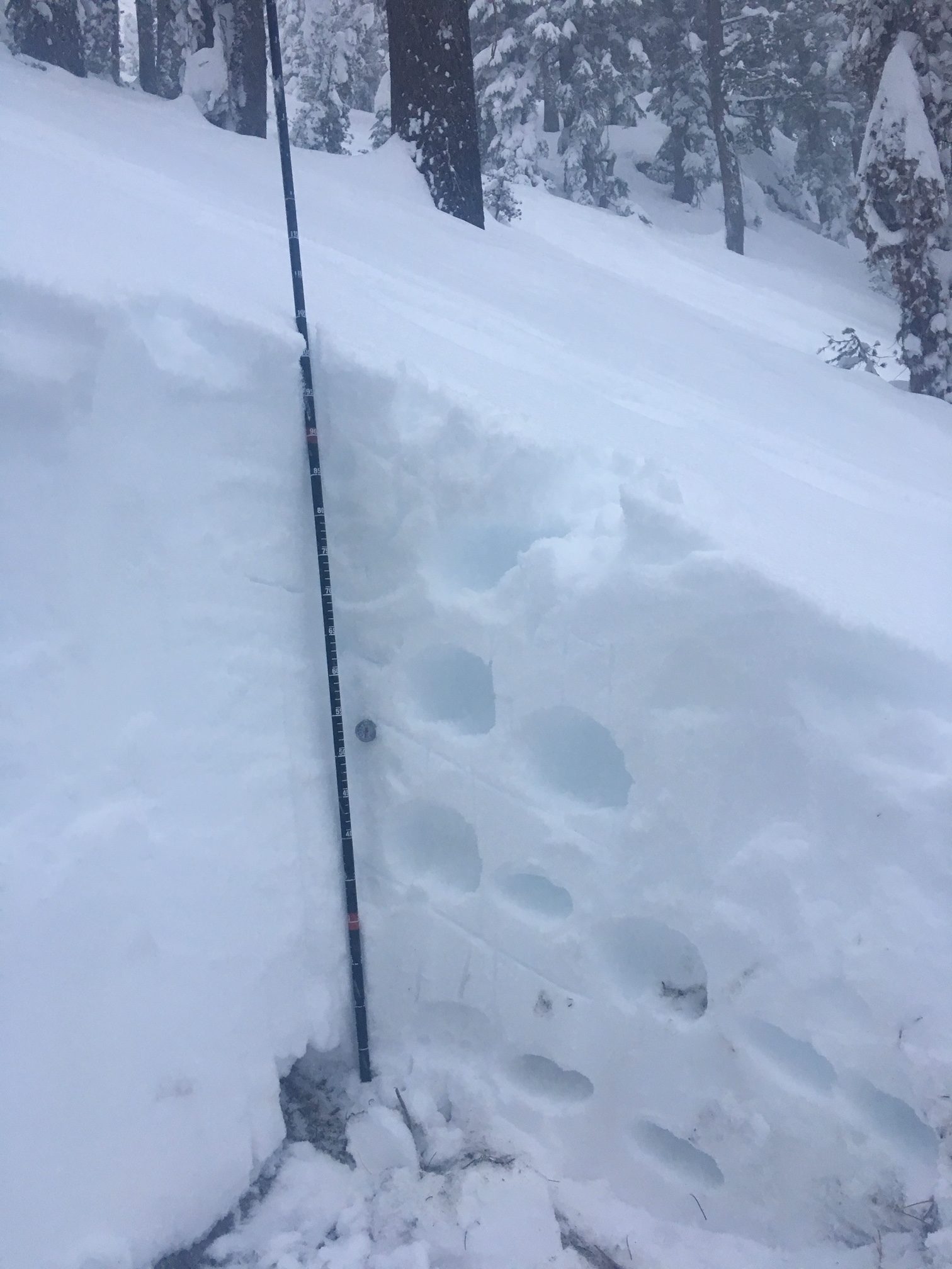 Sierra snowpack