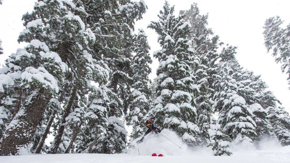 Kirkwood
