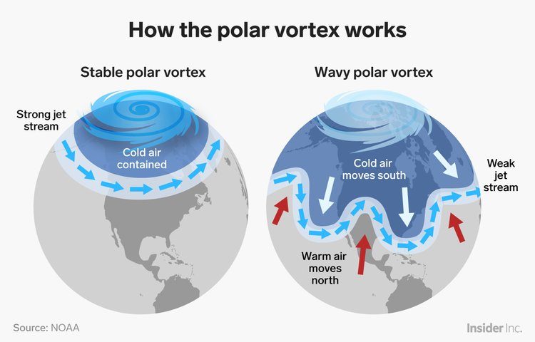 Click to enlarge Polar vortex