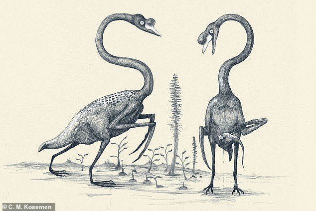 swan dinosaur
