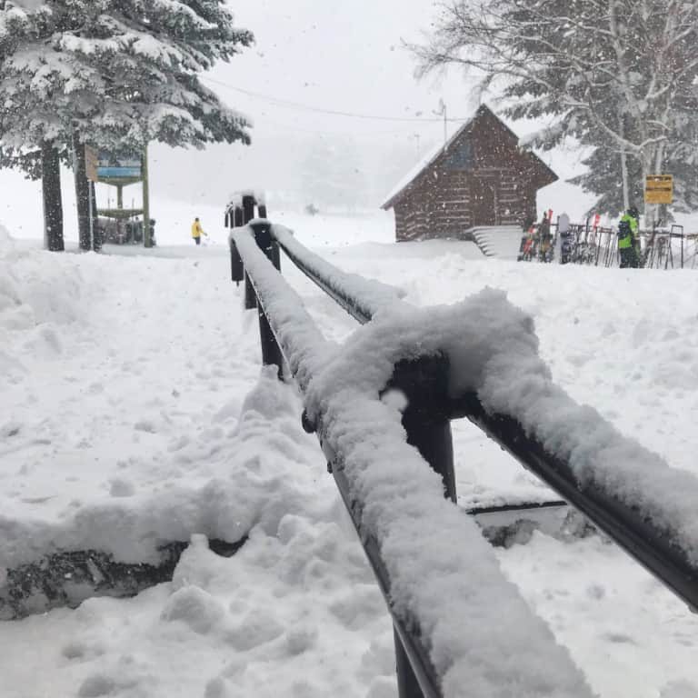 Click to enlarge Rusutsu has received 70cms of light powder this week.